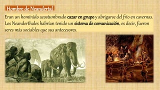 Eran un homínido acostumbrado cazar en grupo y abrigarse del frio en cavernas.
Los Neanderthales habrían tenido un sistema de comunicación, es decir, fueron
seres más sociables que sus antecesores.
Hombre de Neandertal
 