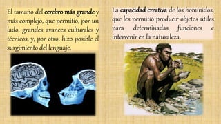 El tamaño del cerebro más grande y
más complejo, que permitió, por un
lado, grandes avances culturales y
técnicos, y, por otro, hizo posible el
surgimiento del lenguaje.
La capacidad creativa de los homínidos,
que les permitió producir objetos útiles
para determinadas funciones e
intervenir en la naturaleza.
 