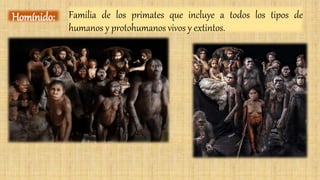 Familia de los primates que incluye a todos los tipos de
humanos y protohumanos vivos y extintos.
Homínido:
 
