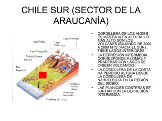 CHILE SUR (SECTOR DE LA ARAUCANÍA) CORDILLERA DE LOS ANDES ES MÁS BAJA EN ALTURA. LO MÁS ALTO SON LOS VOLCANES (BAJANDO DE 3000 A 2000 MTS. HACIA EL SUR). TIENE LAGOS INTERIORES. LA DEPRESIÓN INTERMEDIA CORRESPONDE A LOMAS Y PRADERAS CON LAGOS DE ORIGEN VOLCÁNICO. LA CORDILLERA DE LA COSTA HA PERDIDO ALTURA DESDE LA CORDILLERA DE NAHUELBUTA EN LA REGIÓN DEL BIOBÍO.  LAS PLANICIES COSTERAS SE JUNTAN CON LA DEPRESIÓN INTERMEDIA. 