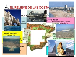 4.  EL RELIEVE DE LAS COSTAS (continuación ) Costa Atlántica Costa Mediterránea Costa Cantábrica: Playas cortas Formas acantiladas.  Cabo de Ajo ( Santander )  Ría Bilbao , Gofo Vizcaya Costa Gallega: Estaca Bares  (Coruña)- Portugal Rías altas: cortas y estrechas Rías bajas: profundas Cabo Finisterre Costa Atlántica andaluza: Es el golfo de Cádiz Costa baja: marismas Punta Tarifa Costa Bética: Gibraltar- cabo Nao (Alicante) Costas rocosas (Béticas) y  Costas bajas (Manga, Torrevieja).  Cabo de Gata (Almería) Costa Golfo Valencia: Hasta Delta Ebro Albuferas (laguna litoral costa baja) y marismas (terreno pantanoso) Costa Catalana: Mezcla deltas, llanuras litorales Costas acantiladas: Maresme  Costa Brava, calas 