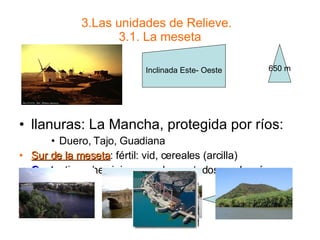 3.Las unidades de Relieve.  3.1. La meseta llanuras: La Mancha, protegida por ríos: Duero, Tajo, Guadiana Sur de la meseta : fértil: vid, cereales (arcilla) Oeste : tierra herciniana, suelos cortados por los ríos  foces  embalses 650 m Inclinada Este- Oeste 