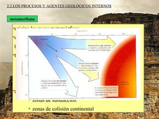 2.2.LOS PROCESOS Y AGENTES GEOLÓGICOS INTERNOS
metamorfismo
origina las rocas metamórficas
cambios en tipo/ disposición de los minerales
(SIN LLEGAR A FUSIÓN)
tipos:
de contacto(↑ Tª)
regional(↑ TªyP)
de alta presión
ambientes metamórficos:
zonas de subducción
zonas de colisión continental
 