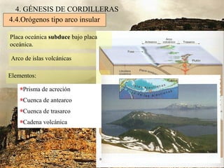 4. GÉNESIS DE CORDILLERAS
Arco de islas volcánicas
4.4.Orógenos tipo arco insular
Placa oceánica subduce bajo placa
oceánica.
Elementos:
Prisma de acreción
Cuenca de antearco
Cuenca de trasarco
Cadena volcánica
 