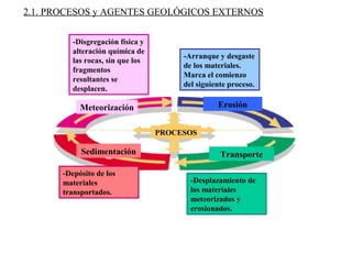 Sedimentación
Meteorización Erosión
Transporte
2.1. PROCESOS y AGENTES GEOLÓGICOS EXTERNOS
-Disgregación física y
alteración química de
las rocas, sin que los
fragmentos
resultantes se
desplacen.
-Arranque y desgaste
de los materiales.
Marca el comienzo
del siguiente proceso.
-Desplazamiento de
los materiales
meteorizados y
erosionados.
-Depósito de los
materiales
transportados.
PROCESOS
 
