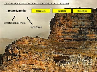 mecánica química biológica
2.1. LOS AGENTES Y PROCESOS GEOLÓGICOS EXTERNOS
agentes atmosféricos
seres vivos
meteorización
 