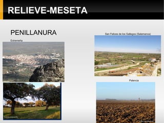 RELIEVE-MESETA ZÓCALO PALEOZOICO Penillanura zamorano-salmantina 