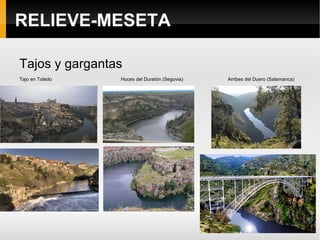 Penillanura extremeña Montes isla, arribes   Lagunas de Villafáfila (Zamora) SIERRAS INTERIORES Sistema Central 