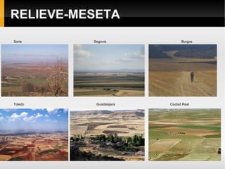 Cuenca de la submeseta sur (Tajo, Guadiana)   Cuenca del Duero Relieve tabular: páramos, campiñas, cuestas 