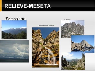 Formas de relieve: páramos, llanuras y cuestas Guadalajara  Teruel Soria 