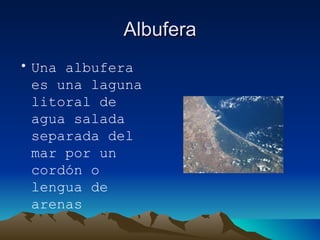 Albufera Una albufera es una laguna litoral de agua salada separada del mar por un cordón o lengua de arenas 