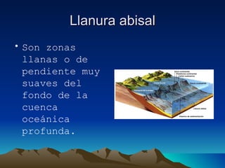 Llanura abisal Son zonas llanas o de pendiente muy suaves del fondo de la cuenca oceánica profunda. 