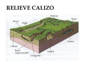 RELIEVE CALIZO
 