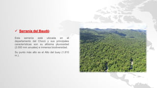  Serranía del Baudó:
Esta serranía está ubicada en el
departamento del Chocó y sus principales
características son su altísima pluviosidad
(2.000 mm anuales) e inmensa biodiversidad.
Su punto más alto es el Alto del buey (1.810
m.).
 