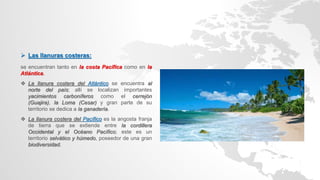  Las llanuras costeras:
se encuentran tanto en la costa Pacífica como en la
Atlántica.
 La llanura costera del Atlántico se encuentra al
norte del país; allí se localizan importantes
yacimientos carboníferos como el cerrejón
(Guajira), la Loma (Cesar) y gran parte de su
territorio se dedica a la ganadería.
 La llanura costera del Pacífico es la angosta franja
de tierra que se extiende entre la cordillera
Occidental y el Océano Pacífico; este es un
territorio selvático y húmedo, poseedor de una gran
biodiversidad.
 