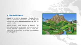  Valle del Río Cauca:
Separa las cordilleras Occidental y Central. Cuenta
con una extensión aproximada de 85.000 km2
creando una de las regiones más fértiles del país, en
su parte media.
Recorre de sur a norte, regiones de praderas y de
ricos cultivos, en su parte media, así como, zonas de
escasa fertilidad y pantanosas, en su parte alta.
Culmina al norte del país, en el lugar donde se une
al río Magdalena.
 