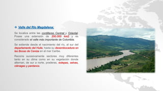  Valle del Río Magdalena:
Se localiza entre las cordilleras Central y Oriental.
Posee una extensión de 200.000 km2 y es
considerado el valle más importante de Colombia.
Se extiende desde el nacimiento del río, al sur del
departamento del Huila, hasta su desembocadura en
las Bocas de Ceniza en el mar Caribe.
Recorre sucesivamente sectores muy diferentes
tanto en su clima como en su vegetación donde
alternan, de sur a norte, praderas, estepas, selvas,
ciénagas y pantanos.
 