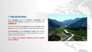  Valle del Río Atrato:
Está ubicado entre la cordillera occidental y la
Serranía del Pacífico, ocupando una superficie de
35.000 km2.
El valle del Atrato es angosto en el sur y amplio en el
norte, con 10 y 30 km aproximados respectivamente.
Se caracteriza por las ciénagas y caños que forman
el río y sus afluentes en la mayor parte de su curso,
hasta la desembocadura.
Es un lugar muy húmedo, ardiente y con una amplia
zona selvática.
 