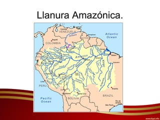 Llanura Amazónica.
 