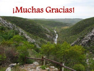¡Muchas Gracias!
 