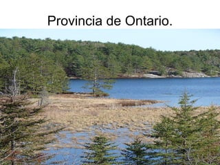 Provincia de Ontario.
 