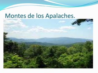 Montes de los Apalaches.
 