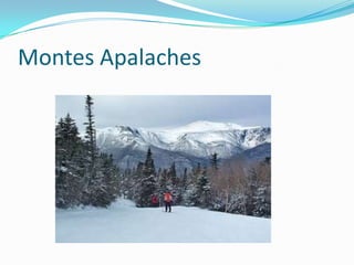 Montes Apalaches
 