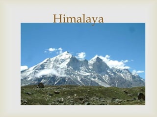 Himalaya
   
 
