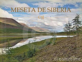 MESETA DE SIBERIA
       
 