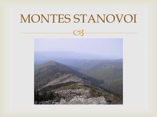 MONTES STANOVOI
       
 