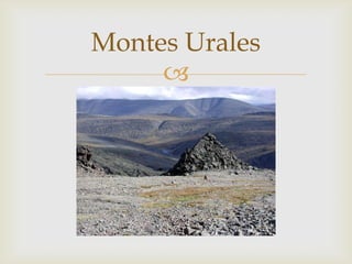 Montes Urales
     
 