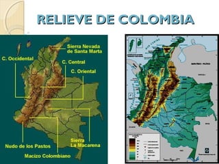 RELIEVE DE COLOMBIARELIEVE DE COLOMBIA
 