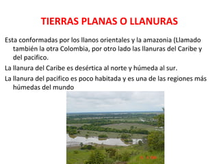 TIERRAS PLANAS O LLANURAS
Esta conformadas por los llanos orientales y la amazonia (Llamado
también la otra Colombia, por otro lado las llanuras del Caribe y
del pacifico.
La llanura del Caribe es desértica al norte y húmeda al sur.
La llanura del pacifico es poco habitada y es una de las regiones más
húmedas del mundo
 