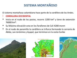 SISTEMA MONTAÑOSO
El sistema montañoso colombiano hace parte de la cordillera de los Andes.
 CORDILLERA OCCIDENTAL
 Inicia en el nudo de los pastos, recorre 1200 km² y tiene de extensión
76000 km².
 Su Máxima elevación esta en los farallones de Cali 4280 msnm
 En el nudo de paramillo la cordillera se trifurca formando la serranía de
Abibe, san Jerónimo y Ayapel, que terminan en la costa Caribe
 