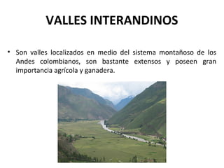 VALLES INTERANDINOS
• Son valles localizados en medio del sistema montañoso de los
Andes colombianos, son bastante extensos y poseen gran
importancia agrícola y ganadera.
 