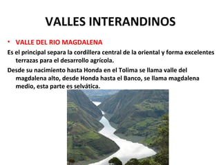 VALLES INTERANDINOS
• VALLE DEL RIO MAGDALENA
Es el principal separa la cordillera central de la oriental y forma excelentes
terrazas para el desarrollo agrícola.
Desde su nacimiento hasta Honda en el Tolima se llama valle del
magdalena alto, desde Honda hasta el Banco, se llama magdalena
medio, esta parte es selvática.
 