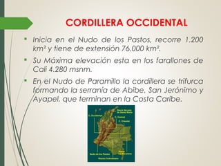 CORDILLERA OCCIDENTAL
 Inicia en el Nudo de los Pastos, recorre 1.200
km² y tiene de extensión 76.000 km².
 Su Máxima elevación esta en los farallones de
Cali 4.280 msnm.
 En el Nudo de Paramillo la cordillera se trifurca
formando la serranía de Abibe, San Jerónimo y
Ayapel, que terminan en la Costa Caribe.
 