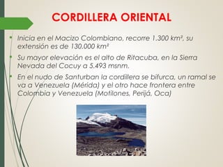 CORDILLERA ORIENTAL
 Inicia en el Macizo Colombiano, recorre 1.300 km², su
extensión es de 130.000 km²
 Su mayor elevación es el alto de Ritacuba, en la Sierra
Nevada del Cocuy a 5.493 msnm.
 En el nudo de Santurban la cordillera se bifurca, un ramal se
va a Venezuela (Mérida) y el otro hace frontera entre
Colombia y Venezuela (Motilones, Perijá, Oca)
 