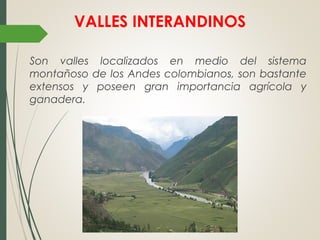 VALLES INTERANDINOS
Son valles localizados en medio del sistema
montañoso de los Andes colombianos, son bastante
extensos y poseen gran importancia agrícola y
ganadera.
 
