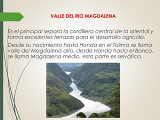 VALLE DEL RIO MAGDALENA
Es el principal separa la cordillera central de la oriental y
forma excelentes terrazas para el desarrollo agrícola.
Desde su nacimiento hasta Honda en el Tolima se llama
valle del Magdalena alto, desde Honda hasta el Banco,
se llama Magdalena medio, esta parte es selvática.
 