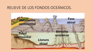 RELIEVE DE LOS FONDOS OCEÁNICOS.
 