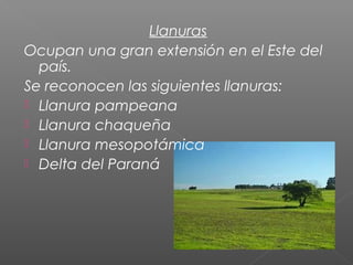 Llanuras 
Ocupan una gran extensión en el Este del 
país. 
Se reconocen las siguientes llanuras: 
 Llanura pampeana 
 Llanura chaqueña 
 Llanura mesopotámica 
 Delta del Paraná 
 