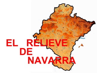 1

EL RELIEVE
DE
NAVARRA

 