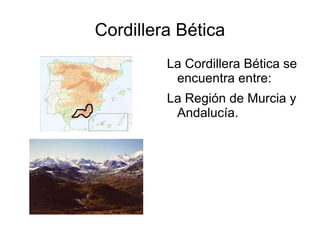 Cordillera Bética La Cordillera Bética se encuentra entre: La Región de Murcia y Andalucía. 