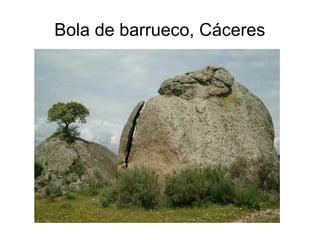 Bola de barrueco, Cáceres 
 