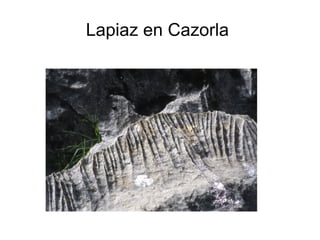 Lapiaz en Cazorla 
 