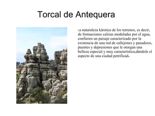 Torcal de Antequera 
La naturaleza kárstica de los terrenos, es decir, 
de formaciones calizas modeladas por el agua, 
confieren un paisaje caracterizado por la 
existencia de una red de callejones y pasadizos, 
puentes y depresiones que le otorgan una 
belleza especial y muy característica,dándole el 
aspecto de una ciudad petrificada 
 