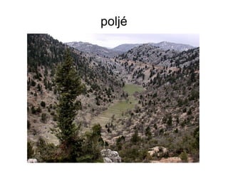 poljé 
 