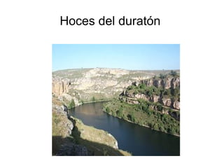 Hoces del duratón 
 