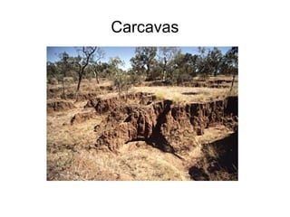 Carcavas 
 
